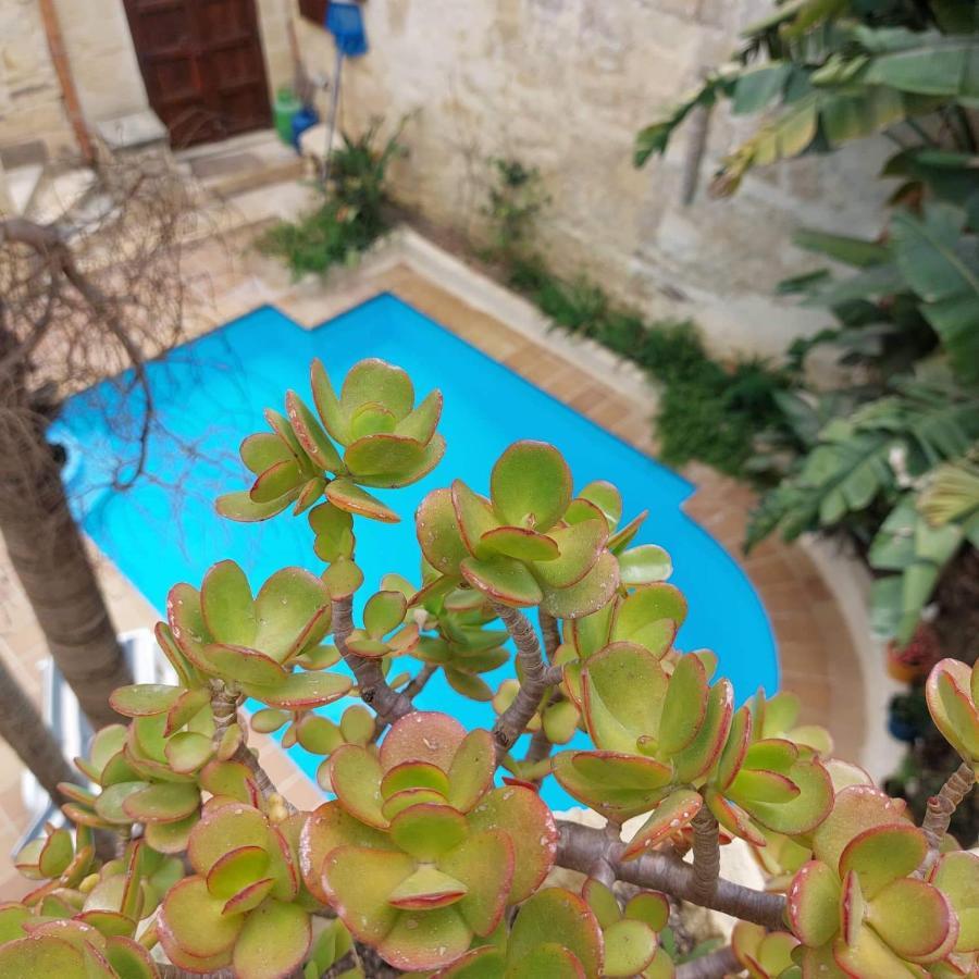 Haven Farmhouse B&B Għarb Zewnętrze zdjęcie